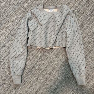 Champion Gray Cropped Sweatshirt
